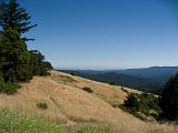 Henry Cowell SP 015